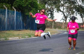 Desafio Nuts 2024